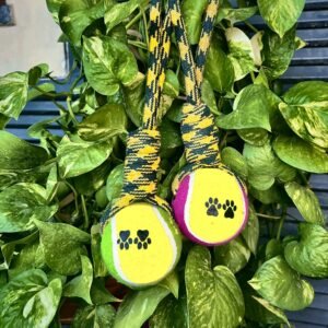 Tug Titan by Botanica Canin – Rope & Tennis Ball Toy