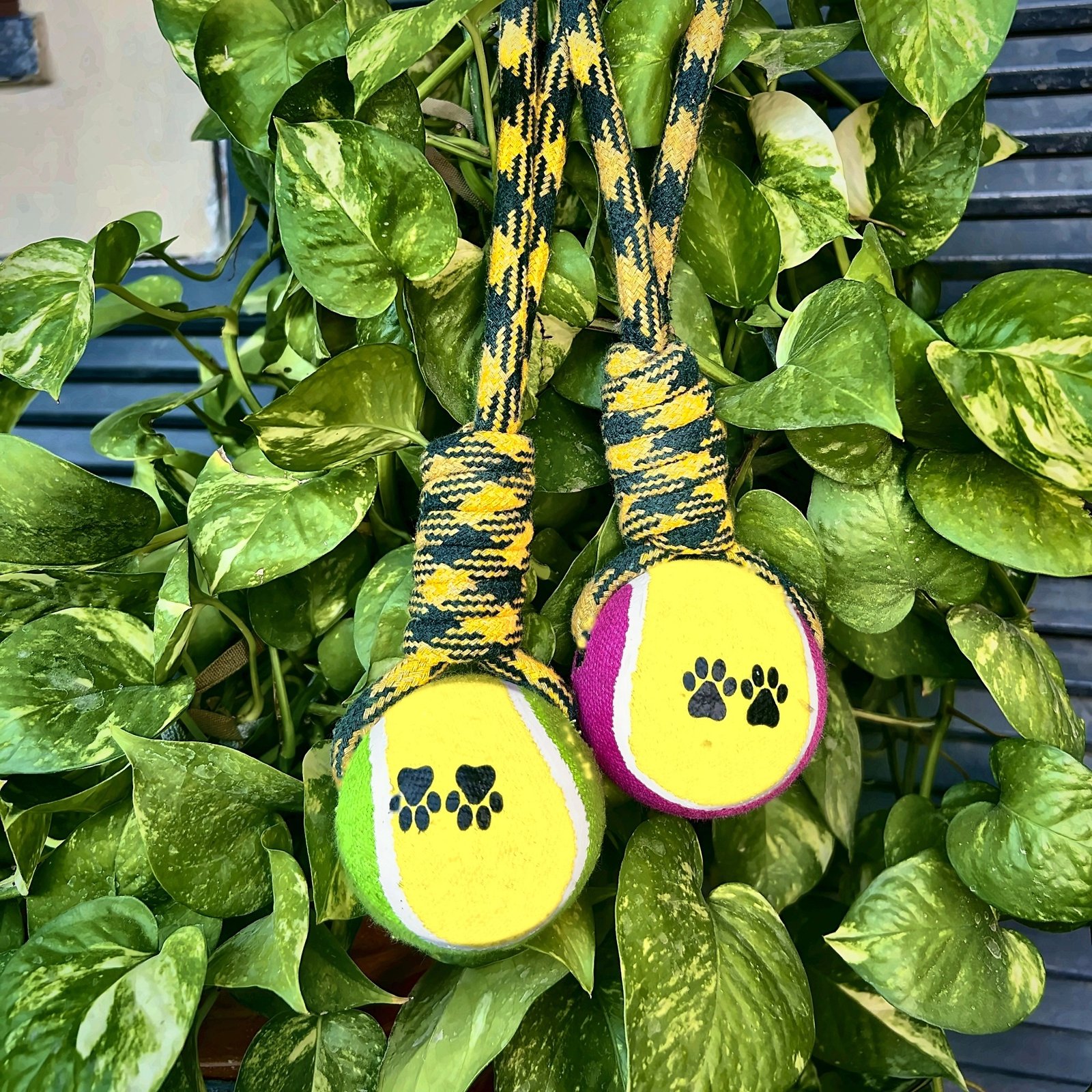 Tug Titan rope and tennis ball toy by Botanica Canin