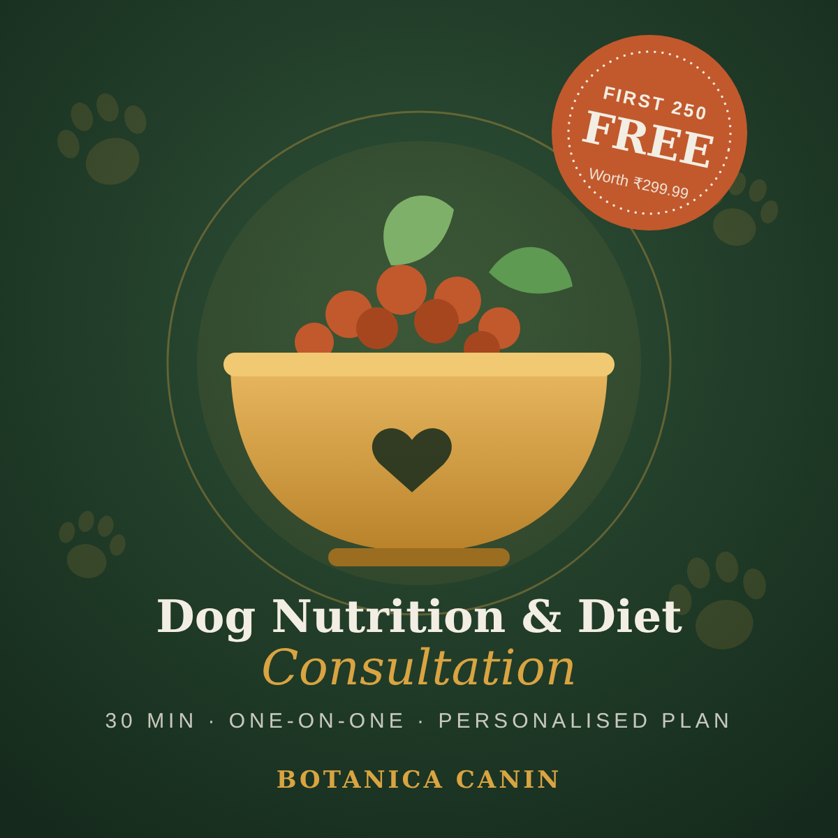 Dog nutrition and diet consultation by Botanica Canin